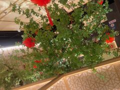 -德川家日本料理(顺义华联店)