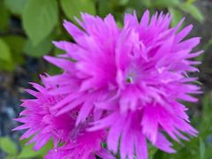 -上海植物园-4号门售票处