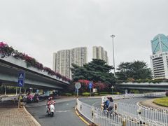 -万绿园