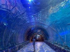 -华夏文旅海洋公园