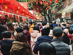 -越秀西湖花市(广州城市广场花卉店)