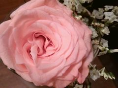 android_upload_pic-疆Jiang·新疆秘制料理