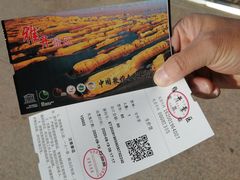 -敦煌雅丹国家地质公园
