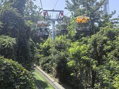 -富斯特索道