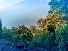 -杨家堂村