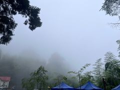 -莫干山风景区