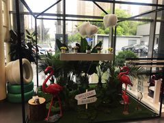 -上海德星奔驰(江杨南路店)