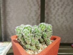 -时间仓(月湖公园店)