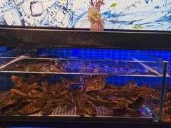 -透明思烤·自助烤肉海鲜火锅(东部星悦天地店)