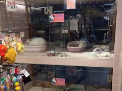 -FAELING PETS美天灵宠物(富力广场店)
