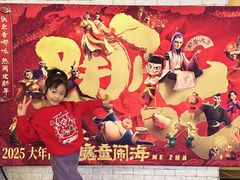 -华谊兄弟影院(IMAX洋桥店)