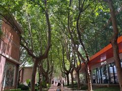 -西安电影制片厂