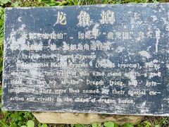 -黄帝陵