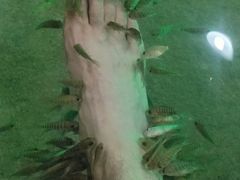 -宝丽金大酒店·洗浴中心