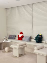 点击看大图 -BR光电保养