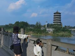 -桤木河湿地公园