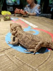 -酷嗒动物文化乐园(cutezoo西溪乐天城店)