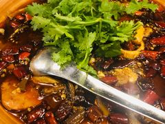 -华豫川酒家(大卫城店)