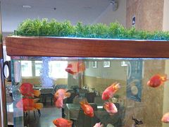 -如家酒店(北京师范大学积水潭店)