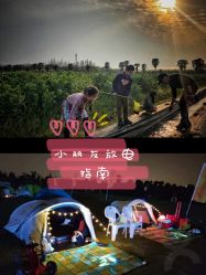 -麦粒鸟亲子游