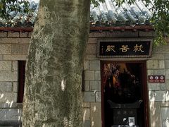-青岛崂山太清宫