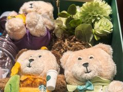 -星巴克臻选(成都宽窄巷子店)