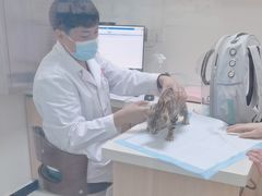 -全心全意连锁动物医院·微创中心·内科急重症·心脏专科(丰管路店)