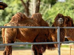 -常州淹城野生动物世界