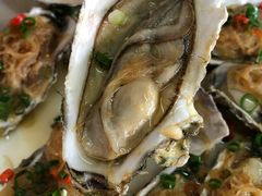 蒜蓉粉丝生蚝-张会海鲜饭店(东戴河店)