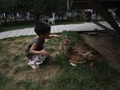 -北京鹿世界主题园