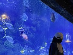 -郑州海洋馆