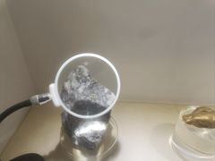 -河南自然博物馆