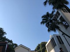 -九龙公园