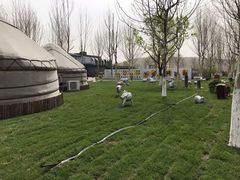 -九十九顶毡房(阜石路店)