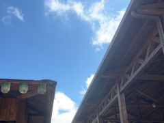 -野象谷景区