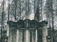 -音乐台