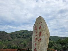 -白茶原·一片叶子