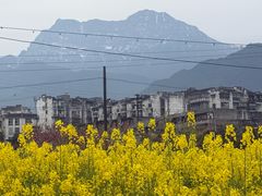 -谢老五跷脚牛肉·非遗传承店