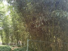 -丰台花园