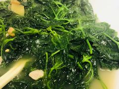 -顺德了能馆(虎门店)