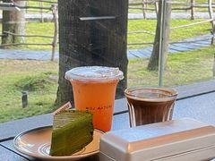 -玉苍山国家森林公园