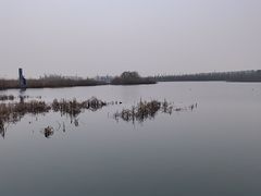 -白洋淀景区