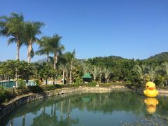 -汕头莲花山度假村温泉