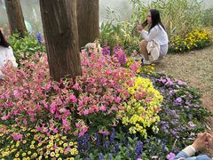 -人民公园(罗湖区)