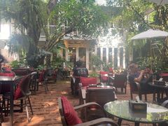 -Fern Forest Cafe