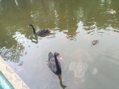 -昆明动物园