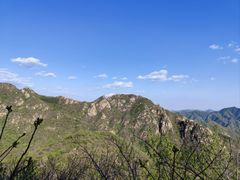 -大岭沟猕猴桃谷风景区
