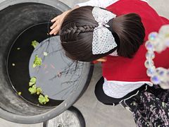 -老舍旧居