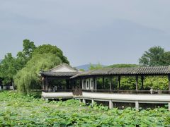 -尚湖风景区