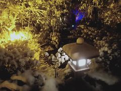 -楼观道温泉酒店